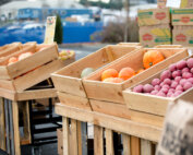 Food Pantry items